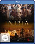 Watch Fascinating India 3D Megashare8