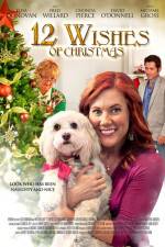 Watch 12 Wishes of Christmas Megashare8