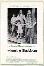 Watch Where the Lilies Bloom Megashare8