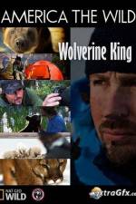 Watch National Geographic Wild America the Wild Wolverine King Megashare8