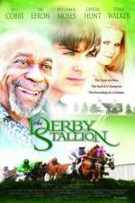 Watch The Derby Stallion Megashare8