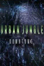 Watch National Geographic Wild Urban Jungle Downtown Megashare8