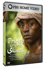 Watch Prince Among Slaves Megashare8