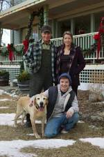 Watch Hallmark Hall of Fame A Dog Named Christmas Megashare8