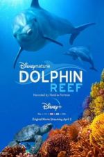 Watch Dolphin Reef Megashare8