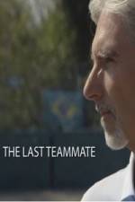 Watch Senna The Last Teammate Megashare8