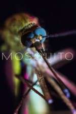 Watch Mosquito Megashare8