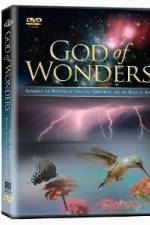 Watch God of Wonders Megashare8