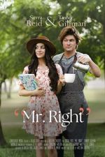 Watch Mr. Right Megashare8