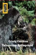Watch National Geographic Grizzly Cauldron Megashare8