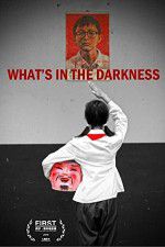 Watch What\'s in the Darkness Megashare8