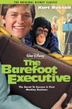 Watch The Barefoot Executive Megashare8