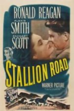 Watch Stallion Road Megashare8