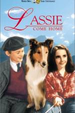 Watch Lassie Come Home Megashare8