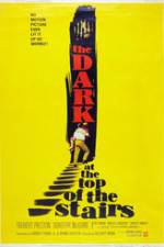 Watch The Dark at the Top of the Stairs Megashare8