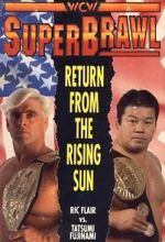 Watch WCW SuperBrawl I Megashare8