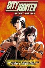 Watch City Hunter Secret Service Megashare8