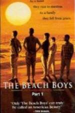 Watch The Beach Boys An American Family Megashare8