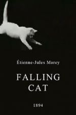 Watch Falling Cat Megashare8