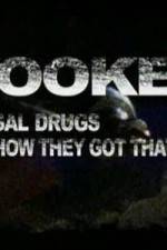 Watch Hooked: Illegal Drugs and How They Got That Way - Cocaine Megashare8