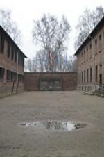 Watch Made in Auschwitz: The Untold Story of Block 10 Megashare8
