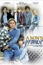 Watch A Son's Promise Megashare8