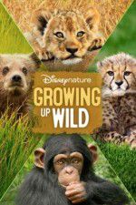 Watch Growing Up Wild Megashare8