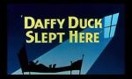 Watch Daffy Duck Slept Here (Short 1948) Megashare8