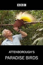 Watch Attenborough's Paradise Birds Megashare8