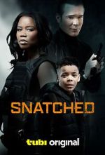Watch Snatched Megashare8