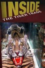 Watch Inside: The Tiger Trade Megashare8