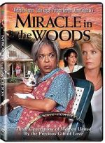Watch Miracle in the Woods Megashare8