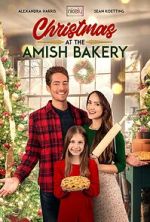 Watch Christmas at the Amish Bakery Megashare8