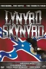 Watch Lynrd Skynyrd: Tribute Tour Concert Megashare8