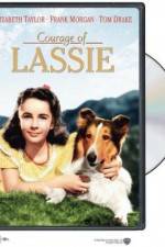 Watch Courage of Lassie Megashare8