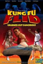 Watch Kung Fu Flid Megashare8