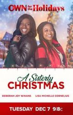 Watch A Sisterly Christmas Megashare8