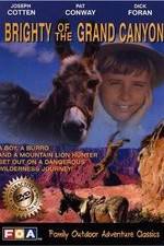 Watch Brighty of the Grand Canyon Megashare8