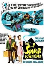 Watch The Spirit Is Willing Megashare8