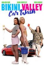 Watch Bikini Valley Car Wash Megashare8