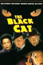 Watch The Black Cat Megashare8
