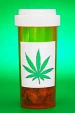 Watch Medicinal Cannabis and its Impact on Human Health Megashare8