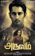 Watch Aruvam Megashare8