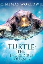 Watch Turtle The Incredible Journey Megashare8