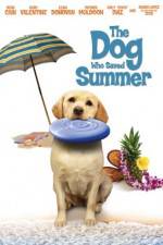 Watch The Dog Who Saved Summer Megashare8