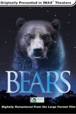 Watch Bears Megashare8