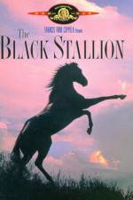 Watch The Black Stallion Megashare8
