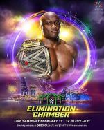 Watch WWE Elimination Chamber (TV Special 2022) Megashare8