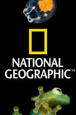 Watch National Geographic Wild Dam Beavers Megashare8