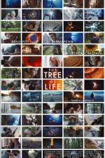 Watch The Tree of Life Megashare8